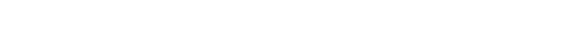 VDV_Wortmarke_weiß
