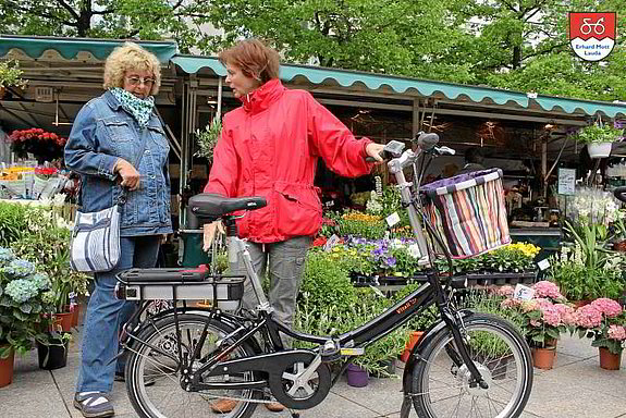 Einkauf mit dem Vitali Elektroklapprad Praktischer Wochenmarkt Einkauf mit dem Vitali Elektro-Klapprad