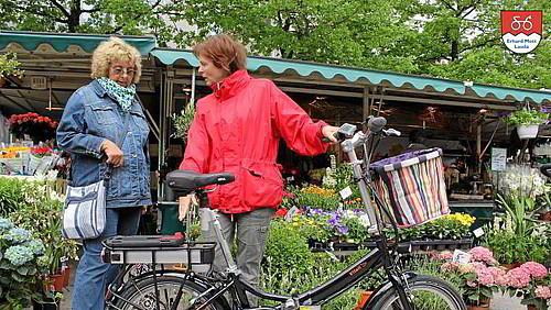 Einkauf mit dem Vitali Elektroklapprad Praktischer Wochenmarkt Einkauf mit dem Vitali Elektro-Klapprad