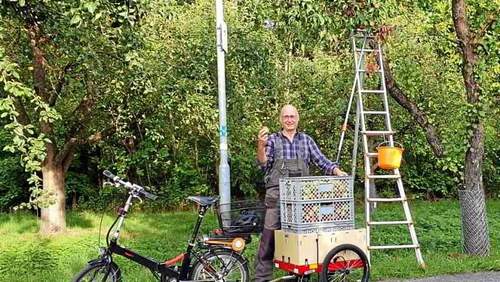 Apfelernte mit Vitali E-Bike plus Anhänger Apfelernte mit Vitali E-Bike plus Anhänger