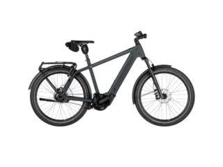 Riese und Müller Charger5 Rohloff