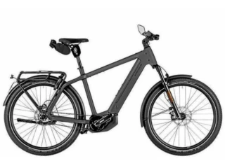 Riese und Müller Charger5 Pinion HS