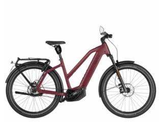 Riese und Müller Charger5 Mixte Pinion HS
