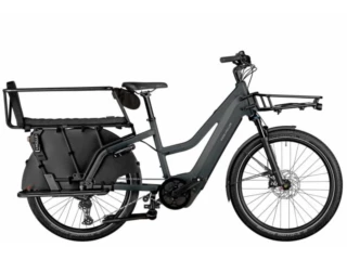 Riese und Müller Multicharger3 Mixte FAMILY