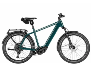 Riese und Müller Charger5 Touring Testbike 800 Wh Kiox 500 ABS pine 53 cm
