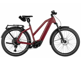 Riese und Müller Charger5 Mixte