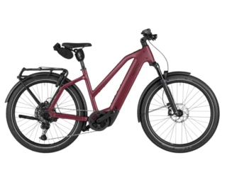 Riese und Müller Charger5 Touring Pro Mixte