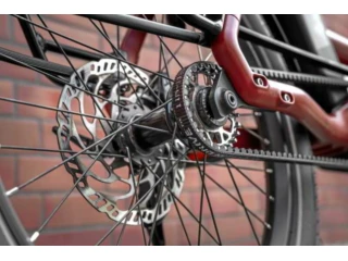 Pinion-singlespeed-nabe.jpg