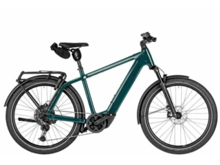 Riese und Müller Charger5 Touring pro