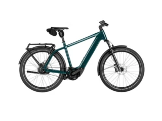 Riese und Müller Charger5 vario HS